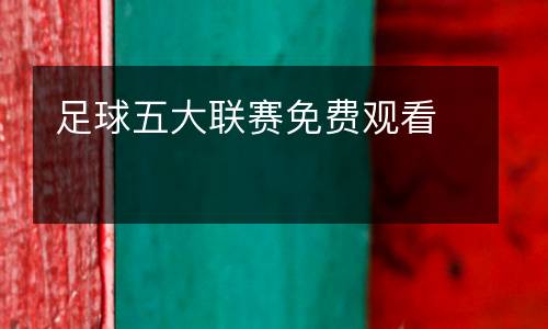 足球五大聯(lián)賽免費觀看