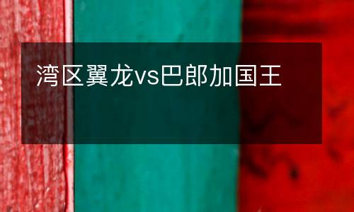 灣區翼龍vs巴郎加國王