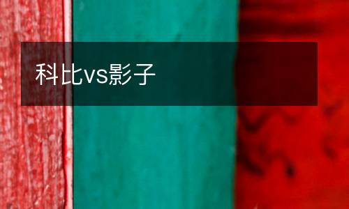 科比vs影子