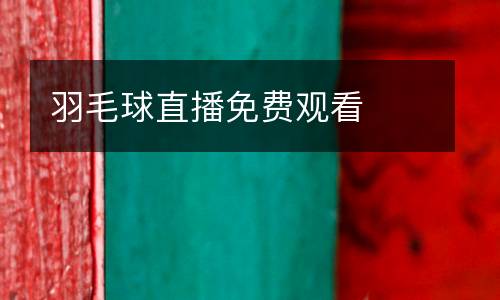 羽毛球直播免費(fèi)觀看